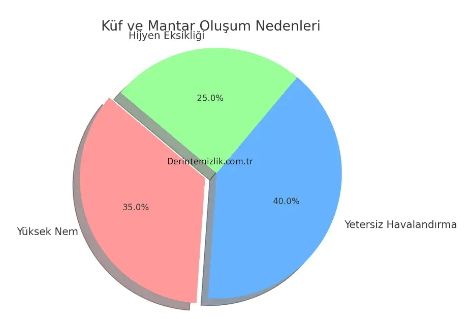 Buharlı Temizlik Küfü Yok Eder mi? Derinlemesine Hijyenin Gücü 2025 Kuf ve Mantar Olusum Nedenleri