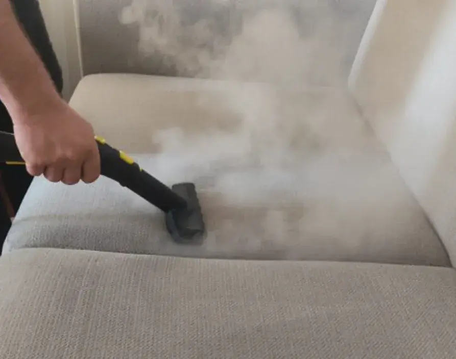 Buharlı Temizlik Küfü Yok Eder mi? Derinlemesine Hijyenin Gücü 2025 Buharli Koltuk Yikama