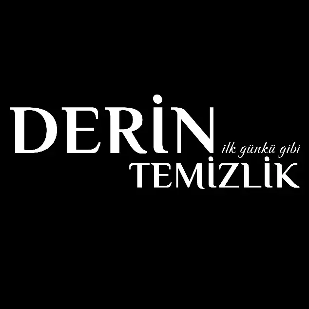 Derin Temizlik Logo Siyah
