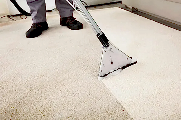 Anasayfa Koltuk Yıkama Halı Yıkama