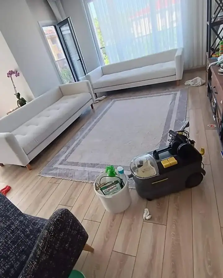 Koltuk Yıkamada Doğru Sıklık: Ne Zaman Temizletmelisiniz? 2025 Koltuk Yıkama