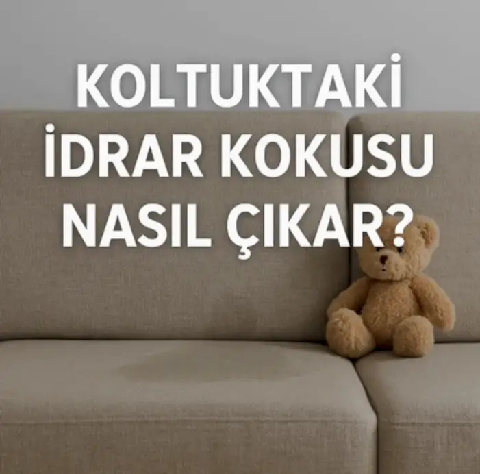 Koltuktaki Idrar Kokusu Nasil Cikar